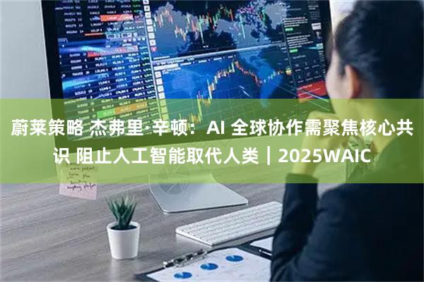 蔚莱策略 杰弗里·辛顿：AI 全球协作需聚焦核心共识 阻止人工智能取代人类︱2025WAIC